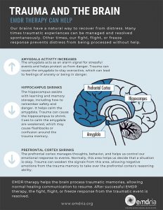 Trauma and the Brain